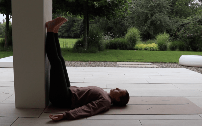 Leg Elevation – 8 min