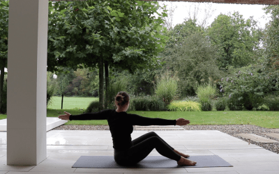 Posture Reset 1 – 14 min