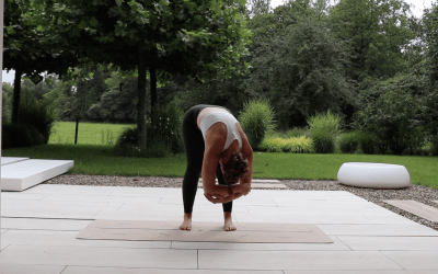 Mobility: Shoulder Release 1 – 31 min