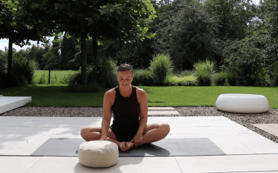 Yin Yoga 1 – 35 min