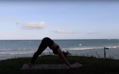 Yoga Flow – 15 min