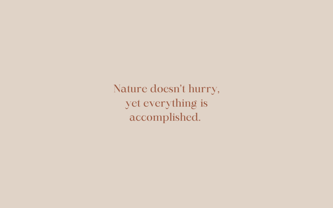 Every season has it’s reason