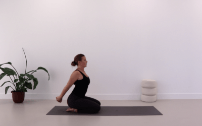 Posture Reset 2 – 22 min