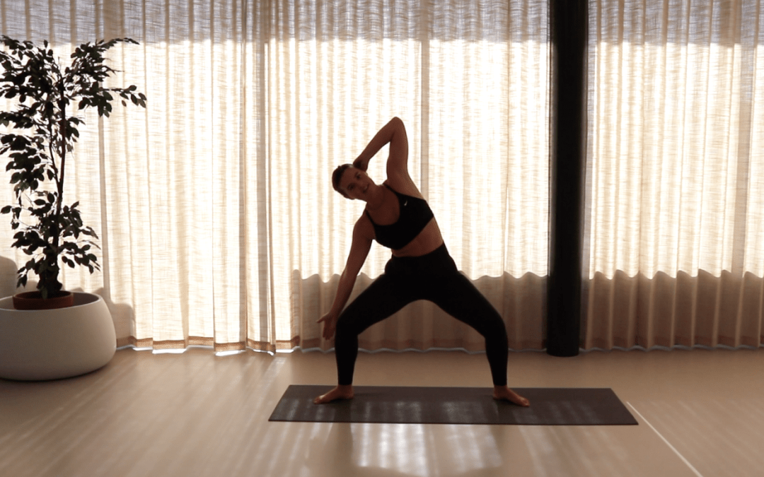 Quick Abs 3 (standing series) – 12 min