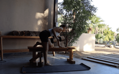 Kracht – Full Body