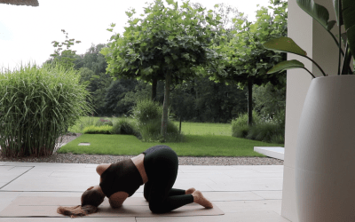 Digestion Stretch – 23 min