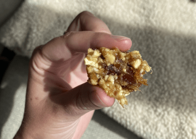 Bliss Balls