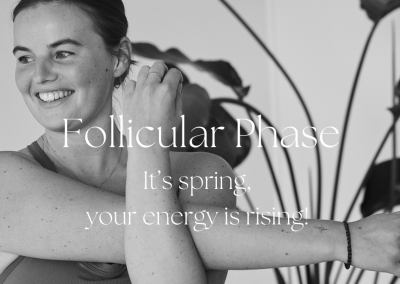 Folliculaire fase