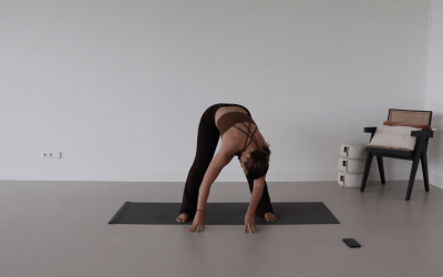 Yoga Flow 7 – 49 min