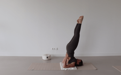 Hatha Yoga Class – 52 min