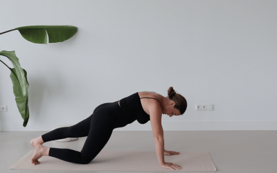 Plank Technique – 12 min