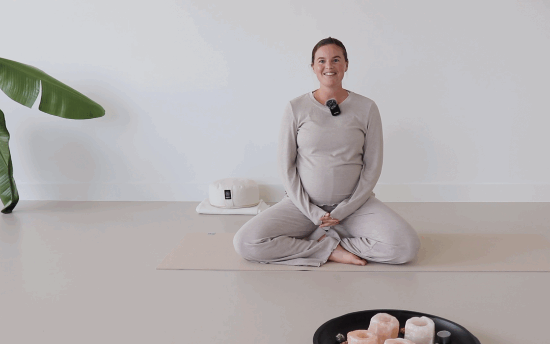Introductie – eerste trimester