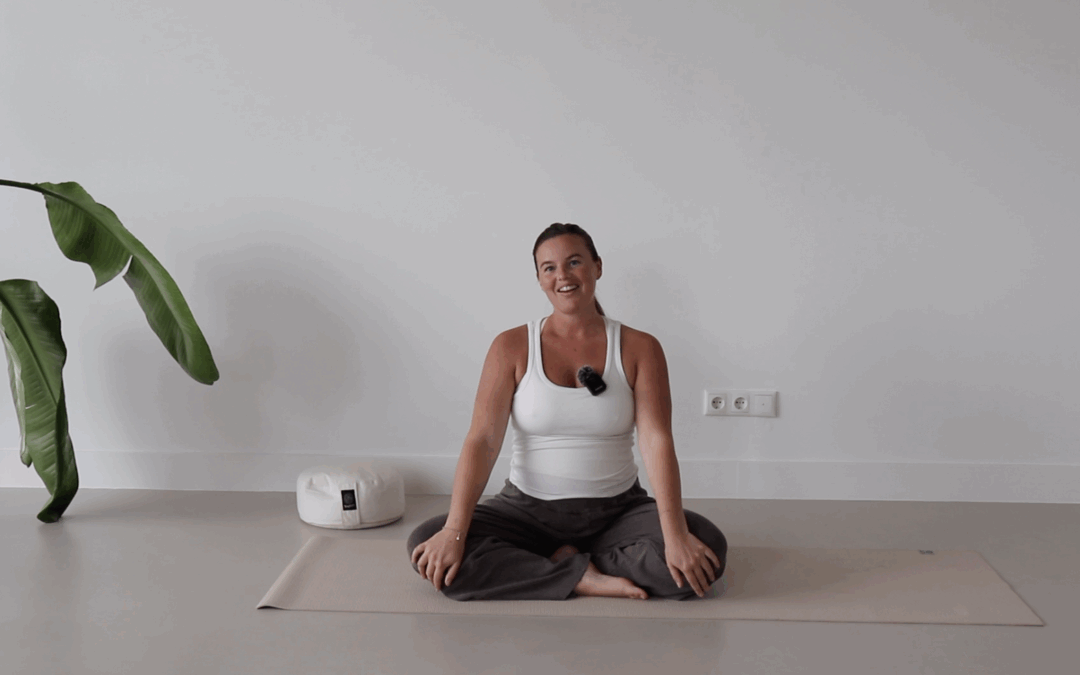 Introductie – tweede trimester