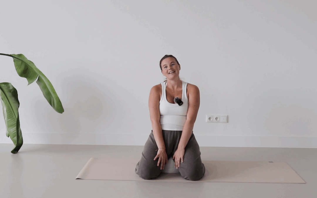 Introductie – vierde trimester