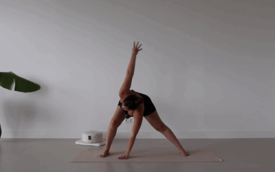 Circulation Stretch – 26 min