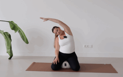 Body Mind Connection Class – 21 min