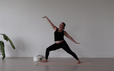 Pregnancy Yoga Flow 3 – 35 min