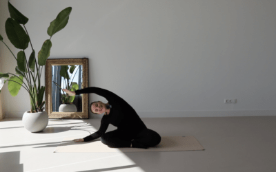 Returning to the mat – postpartum – 22 min