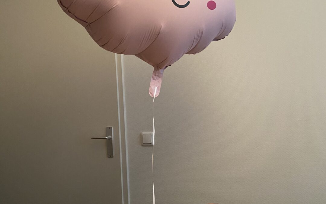 Postpartum, het 4e trimester